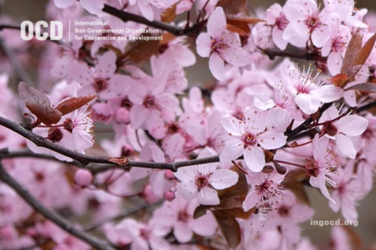 Happy Easter to everyone celebrating Ukrainian Easter