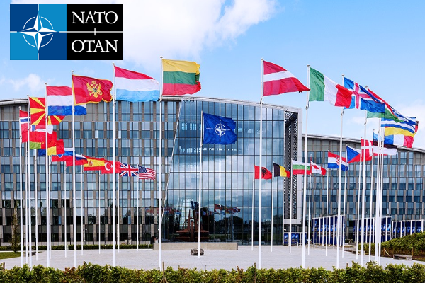 What Is NATO Organization For Cooperation And Development
